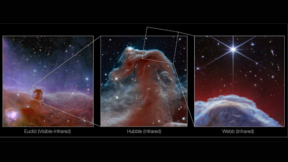 Captan imágenes inéditas de la nebulosa “Cabeza de Caballo”
