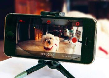 Así puedes convertir tu viejo smartphone en una cámara de seguridad