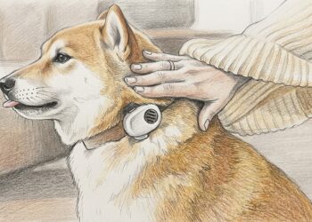 Collar IA para perros: tecnología que traduce emociones y sonidos