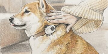Collar IA para perros: tecnología que traduce emociones y sonidos